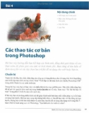 Photoshop và thiết kế hình ảnh cơ bản: Phần 2