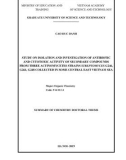 Summary of Chemistry doctoral thesis: Study on isolation and investigation of antibiotic and cytotoxic activity of secondary compounds from three actynomycetes strains Streptomyces G246, G261, G248 collected in some central East Vietnam sea