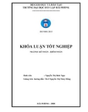 Khóa luận tốt nghiệp Kế toán - Kiểm toán: Hoàn thiện tổ chức công tác kế toán hàng hóa tại công ty cổ phần đầu tư khoáng sản Việt Long