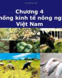 Bài giảng Kinh tế nông nghiệp: Chương 4 - ThS. Nguyễn Hà Hưng