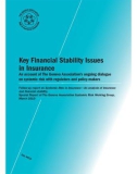 Key Financial Stability Issues In Insurance