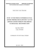 Summary of doctoral thesis: Study of the pedicle superior gluteal artery perforator flaps with vacuum asisted closure therapy for chronic ulcer sacral reconstruction