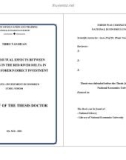 Summary of the thesis Doctor Investment economics: Studying mutual effects between localities in the Red river delta in attracting foreign direct investment
