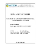 Khoá luận tốt nghiệp: Các nhân tố ảnh hưởng đến chỉ số giá chứng khoán VN-Index