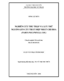 Luận văn Thạc sĩ Sinh học: Nghiên cứu thu thập và lưu trữ nguồn gen của cây Thất diệp nhất chi hoa (Paris polyphylla Sm.)