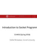 Lecture Computer Networks: Architecture and Protocols - Lesson: Introduction to Socket Programming