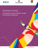 Adapting to succeed: Assessing the impact of climate changeon Vietnamese businesses