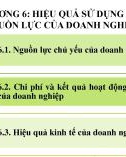 Bài giảng Kinh tế doanh nghiệp - Chương 6: Hiệu quả sử dụng các nguồn lực của doanh nghiệp