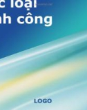 Luật doanh nghiệp - Các loại hình công ty (thuyết trình)