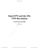 Open VPN and The SSL VPN Revolution