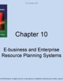 Lecture Accounting information systems basic concepts and current issues (4th edition): Chapter 10 - Robert L. Hurt