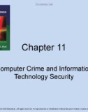 Lecture Accounting information systems basic concepts and current issues (4th edition): Chapter 11 - Robert L. Hurt