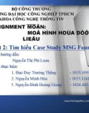 Tìm hiểu Case Study MSG Foundation