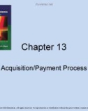 Lecture Accounting information systems basic concepts and current issues (4th edition): Chapter 13 - Robert L. Hurt