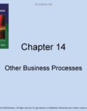 Lecture Accounting information systems basic concepts and current issues (4th edition): Chapter 14 - Robert L. Hurt