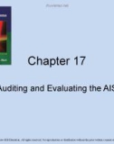 Lecture Accounting information systems basic concepts and current issues (4th edition): Chapter 17 - Robert L. Hurt