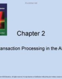 Lecture Accounting information systems basic concepts and current issues (4th edition): Chapter 2 - Robert L. Hurt