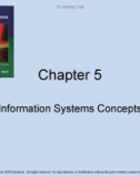 Lecture Accounting information systems basic concepts and current issues (4th edition): Chapter 5 - Robert L. Hurt