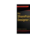 Pro SharePoint Designer 2010