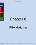 Lecture Accounting information systems basic concepts and current issues (4th edition): Chapter 8 - Robert L. Hurt