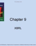 Lecture Accounting information systems basic concepts and current issues (4th edition): Chapter 9 - Robert L. Hurt