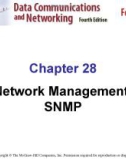 Chapter 28 Network Management: SNMP