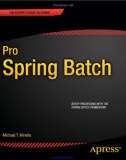 Pro Spring Batch