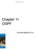 File Routing Protocols and Concepts: Chapter 11