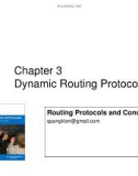 File Routing Protocols and Concepts: part 3