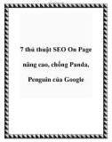 7 thủ thuật SEO on page nâng cao ,chống panda penguin của google