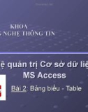 Hệ quản trị cơ sở dữ liệu MS Access - Bài 2