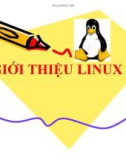 Bài giảng Tổng quan về Linux - Chương 1: Giới thiệu về Linux