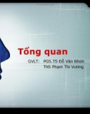 Bài giảng Tổng quan công nghệ tri thức - PGS.TS Đỗ Văn Nhơn