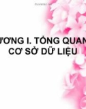 Bài giảng Quản trị cơ sở dữ liệu - Chương 1: Tổng quan về cơ sở dữ liệu