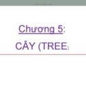 Bài giảng môn Cấu trúc dữ liệu - Chương 5: Cây (tree)