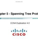 Lecture CCNA Exploration 4.0 (Kỳ 3) - Chapter 5: Spanning Tree Protocol