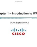 Lecture CCNA Exploration 4.0 (Kỳ 4) - Chapter 1: Introduction to WANs