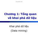 Bài giảng Khai phá dữ liệu - Chương 1: Tổng quan về khai phá dữ liệu