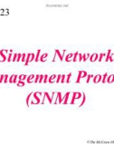 Lecture TCP-IP protocol suite - Chapter 23: Simple Network Management Protocol (SNMP)