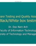 Lecture Software testing and quality assurance: Lecture 5 - TS. Đào Nam Anh