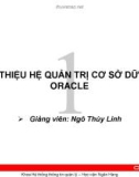 Bài giảng Hệ quản trị cơ sở dữ liệu Oracle: Chương 1 - Ngô Thùy Linh