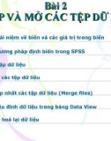 Bài giảng Thống kê kinh doanh và SPSS - Bài 2: Nhập và mở các tệp dữ liệu