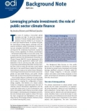 Leveraging private investment: the role of public sector climate finance