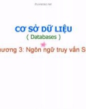 Bài giảng Cơ sở dữ liệu (Databases) - Chương 3: Ngôn ngữ truy vấn SQL