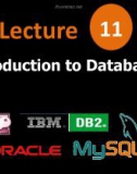 Lecture 11: Introduction to databases