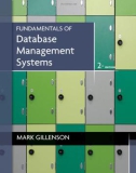 Ebook Fundamentals of database management systems (2nd Ed): Part 1