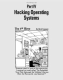 Ebook Hacking for dummies (2nd edition): Part 2