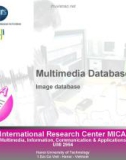 Multimedia Database - Image database