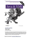 Java & XML