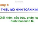 Chương 1: Giới thiệu mô hình toán kinh tế (Bài 1)